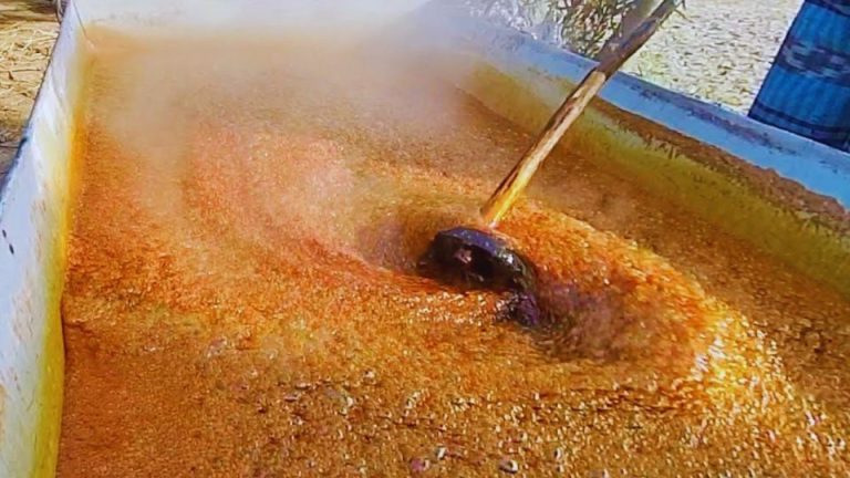 WhatsApp Image 2025-10-31 at 7.25.43 PM