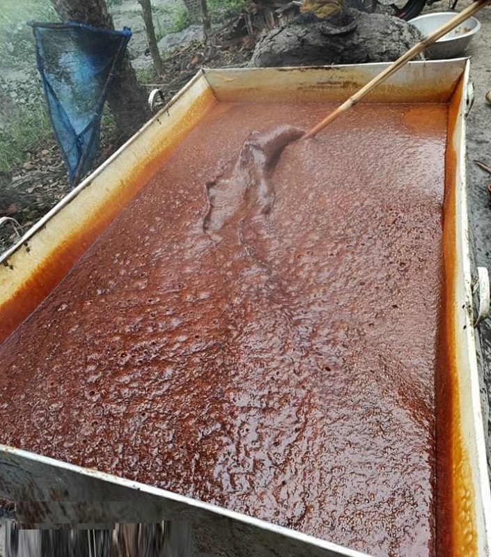 WhatsApp Image 2025-10-31 at 7.25.44 PM